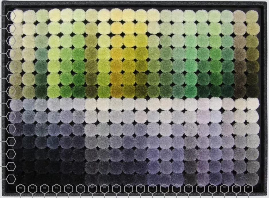 Green & Grey Color Swatches